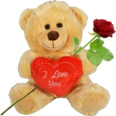 Brown teddy bear 30cm with red I love you heart (Brown teddy bear I Love you with red heart + fresh red rose + 300 grams of handmade chocolates)